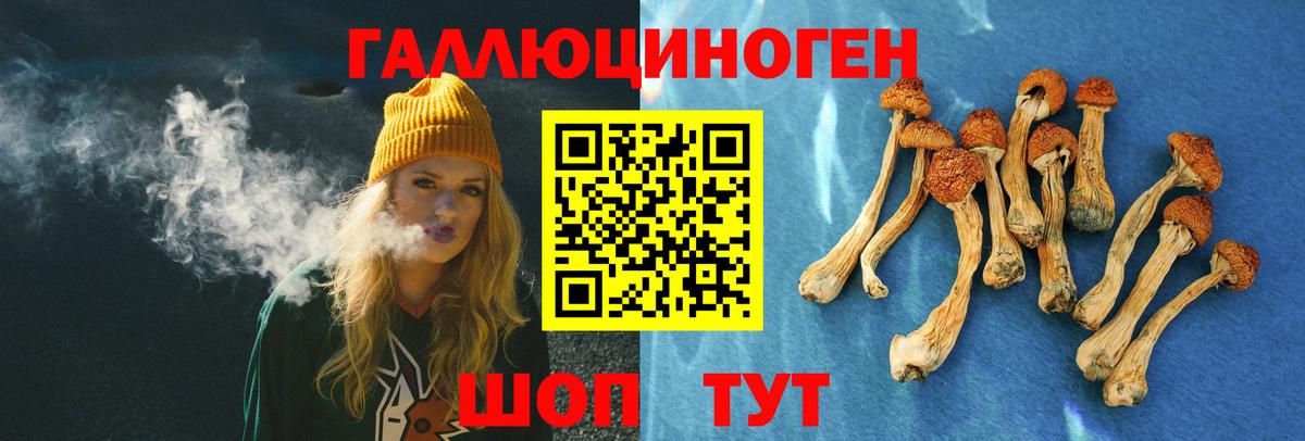 Галлюциногенные грибы MAGIC MUSHROOMS  Галлюциногенные грибы Cubensis  Черкесск  Вход с VPN 