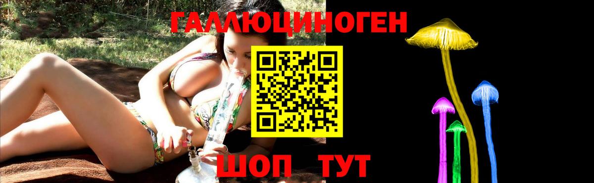 Псилоцибиновые грибы GOLDEN TEACHER Черкесск
